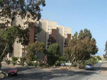 Vista de Eucaliptos I (Foto TA)