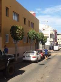 Trabajos en zonas verdes de El Calero (Foto TA)