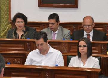 Celeste López, concejala de Urbanismo, este viernes en el Pleno municipal (Foto TA)