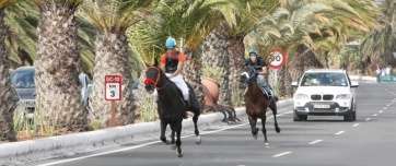 Carrera de caballos en la Avenida del Cabildo, en una imagen de archivo (Foto TA)