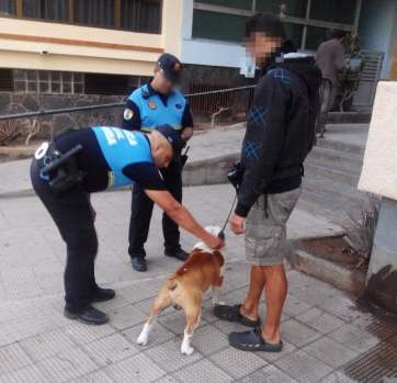 Imagen de uno de las inspecciones llevadas a cabo estos días por agentes de la Policía Local de Telde (Foto TA)