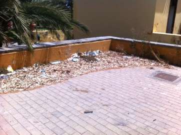 Estado del inmueble y su entorno (Foto TA)