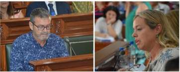 Sonsoles Martín, portavoz del PP, en una intervención durante el Pleno de este viernes (Foto TA)