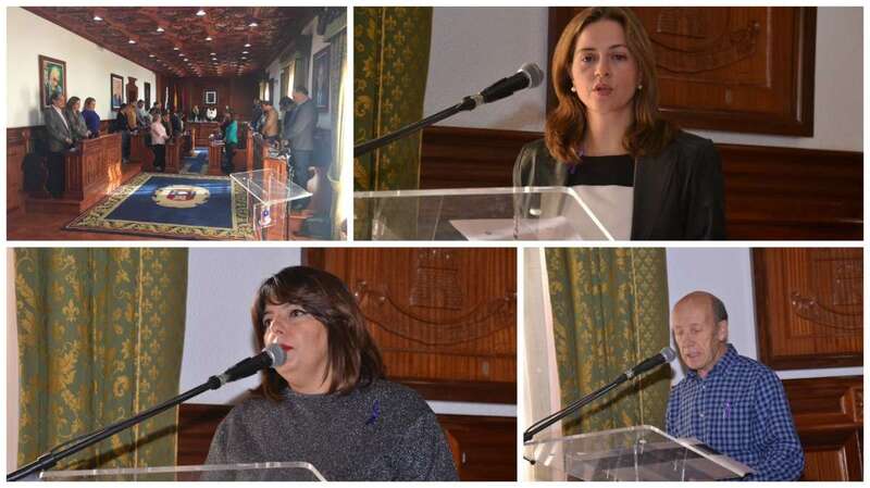 El Pleno aprobó este viernes tres manifiestos y guardó un minuto de silencio (Foto TA)