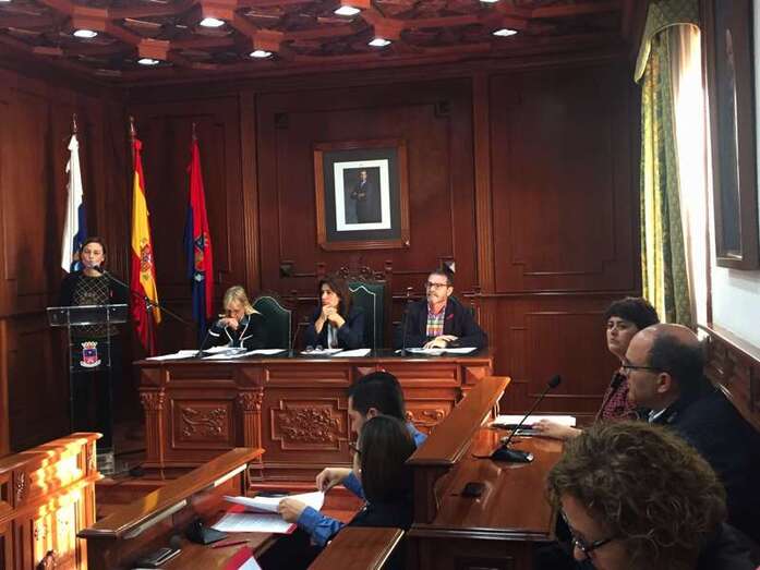 La  trabajadora municipal y antropóloga Etelva Artiles, este jueves dirigiéndose a la Comisión (Foto TA)