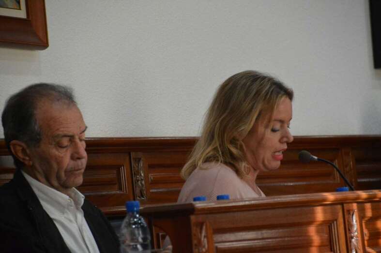 Sonsoles Martín, ayer en el Pleno extraordinario (Foto TA)