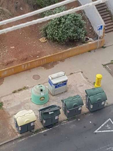 Entorno ya limpio de un punto de recogida de basura en el Valle de Jinámar (Foto TA)