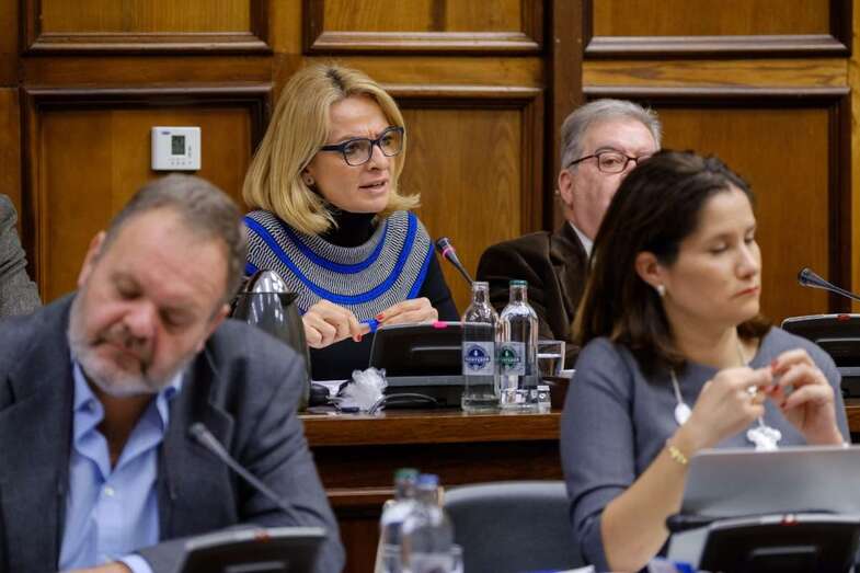 Esther Monzón y José Miguel Bravo de Laguna, en un Pleno reciente del Cabildo (Foto TA)