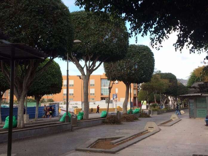 Aspecto de la rambla de Arnao tras los trabajos acometidos por Parques y Jardines (Foto TA)