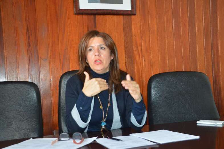 La alcaldesa Carmen Hernández, en el momento de anunciar la propuesta de adhesión a este servicio de la FEMP (Foto TA)