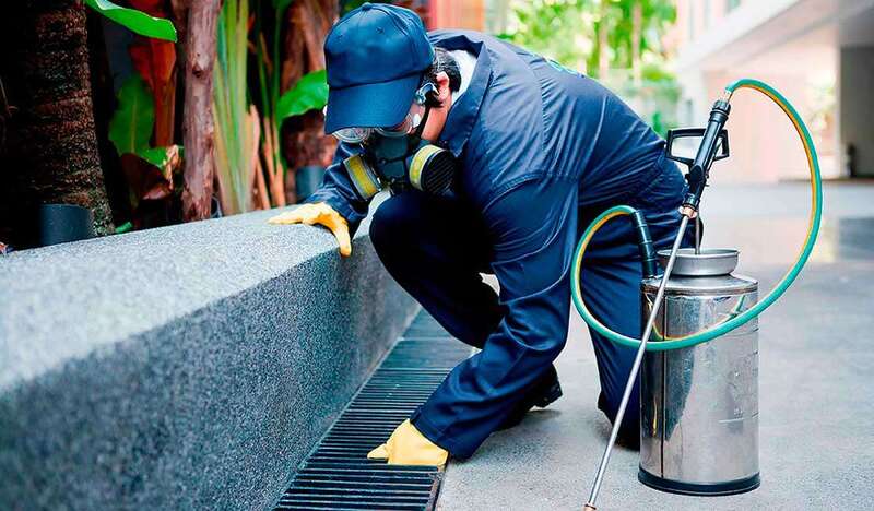 Tareas de control de plagas por personal de Flodesin (Foto TA)