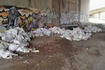 Estercoleros en zonas industriales y Barranco Real de Telde (Foto TA)