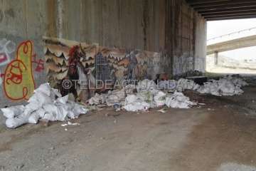 Estercoleros en zonas industriales y Barranco Real de Telde (Foto TA)