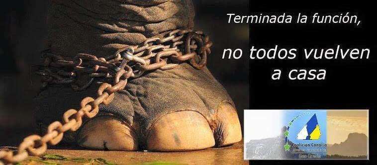 Cartel de la campaña (Foto TA)