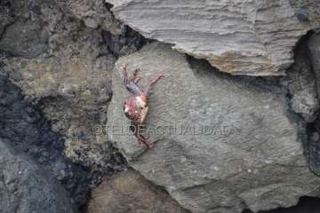 Reportaje gráfico TA