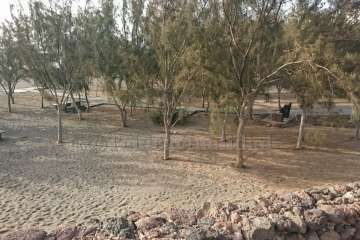 El plan de limpieza tras la Noche de San Juan retira decenas de toneladas de basura de la costa y casco  (Foto TA)