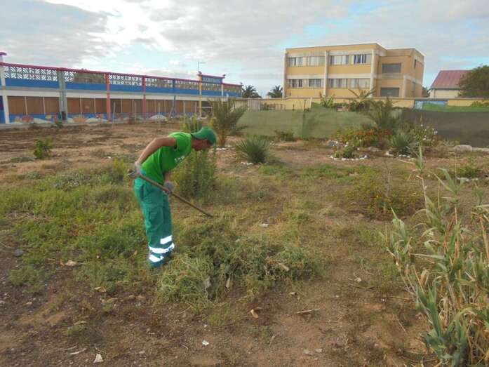 Imagen de los trabajos (Foto TA)