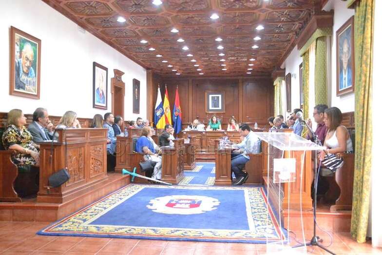 Todos los grupos coincidieron a favor de la iniciativa planteada por los insularistas aunque PSOE y MxT plantearon numerosos reparos (Foto TA)