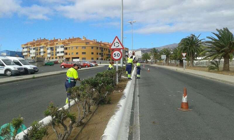 Imagen de los trabajos (Foto TA)