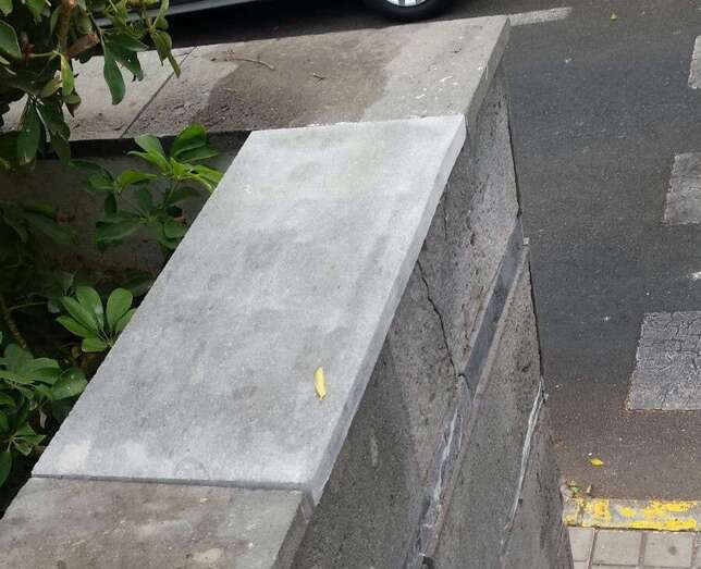 Las actuaciones continuarán la próxima semana con trabajos de limpieza y poda (Foto TA)