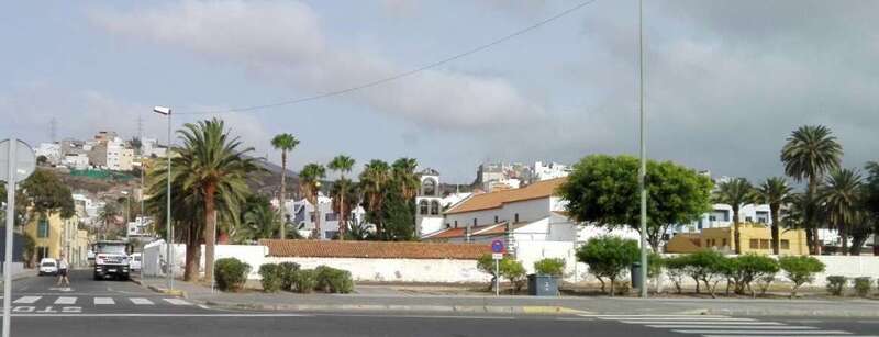 Operarios podan las palmeras de la Parroquia de La Concepción (Foto TA)