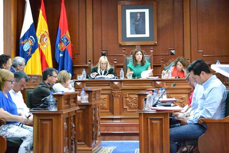 Pleno del Ayuntamiento de Telde (Foto TA)