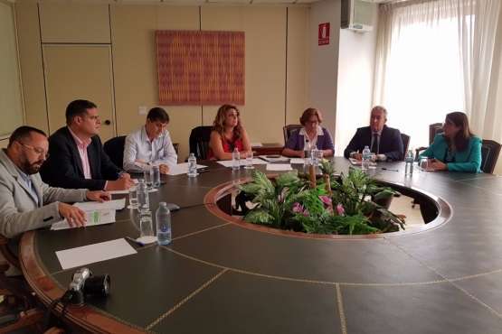 Ojeda, en la reunión de Servicios Sociales del G4 con el Gobierno canario (Foto TA)