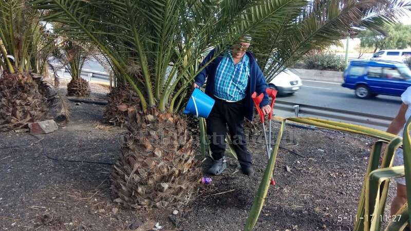 Vecino de Las Huesas, con un balde en la mano, riega una palmera, el pasado domingo (Foto TA)
