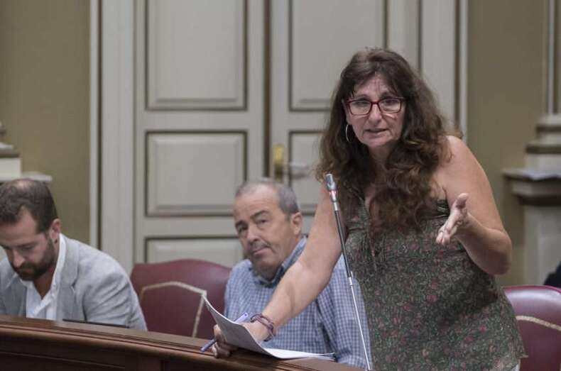 La diputada Concepción Monzón sacó a relucir en el Parlamento canario la polémica implantación del gas en Telde (Foto TA)