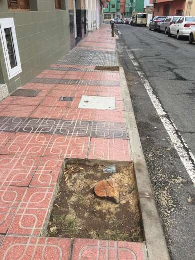 Alcorque donde había un árbol que fue talado esta mañana (Foto TA)
