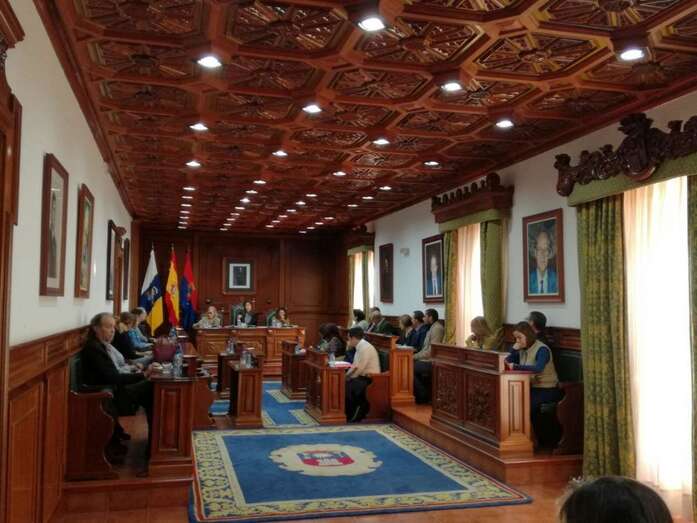 Imagen de la sesión plenaria de este viernes (Foto TA)