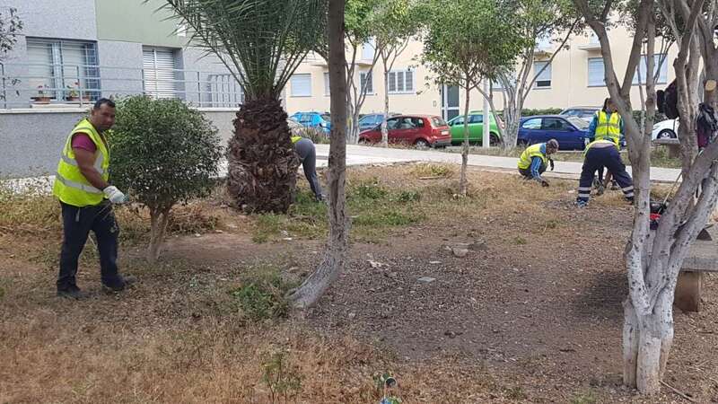 Imagen de los trabajos (Foto TA)