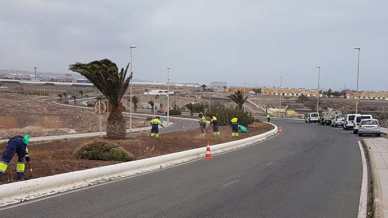 Los operarios de Parques y Jardines trabajan estos días en el vial costero (Foto TA)