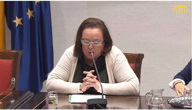 María Teresa Roca, este miércoles durante su comparencia en la comisión del Parlamento de Canarias (Foto TA)