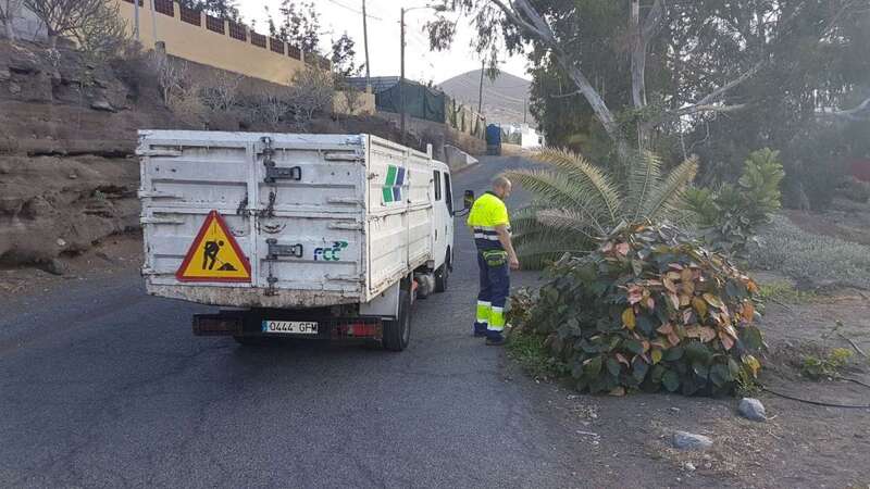 Imagen de archivo de una palmera caída en una vía de Telde (Foto TA)