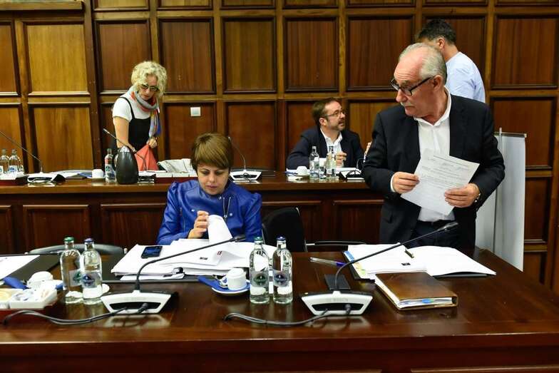 La consejera de Industrial, la teldense Minerva Alonso, en el Pleno de este viernes del Cabildo (Foto TA)