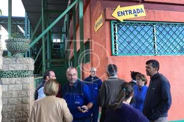 Cierra el Mercado de Telde por riesgo eléctrico entre el llanto y la impotencia de sus puesteros (Foto TA)