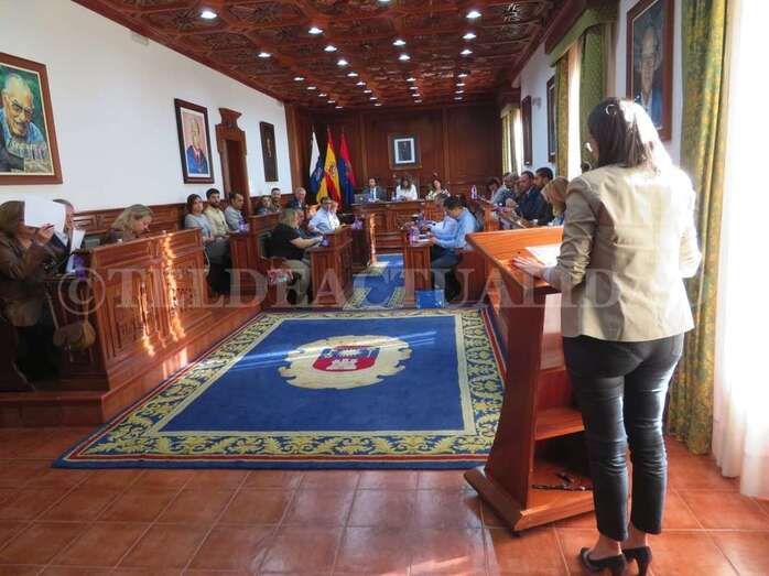 Imagen del Pleno de este miércoles (Foto TA)