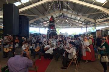 Narea abre como recova con ambiente navideño y de satisfacción general (Foto Francisco Javier Santana y TA)