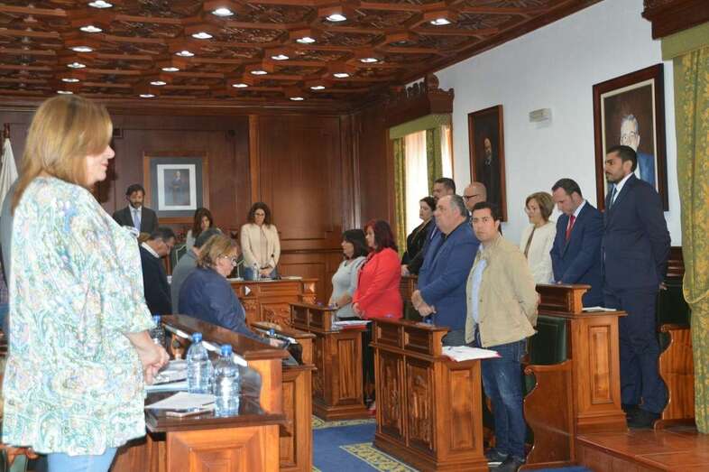 El Pleno municipal se reunirá este viernes en la última sesión del año (Foto TA)