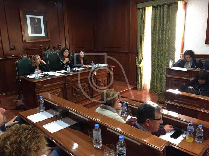 Momento del Pleno de este viernes 28 de diciembre (Foto TA)