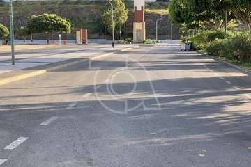 La Cabalgata y el Mercadillo de Jinámar dejan 4,5 toneladas de basura (Foto TA)