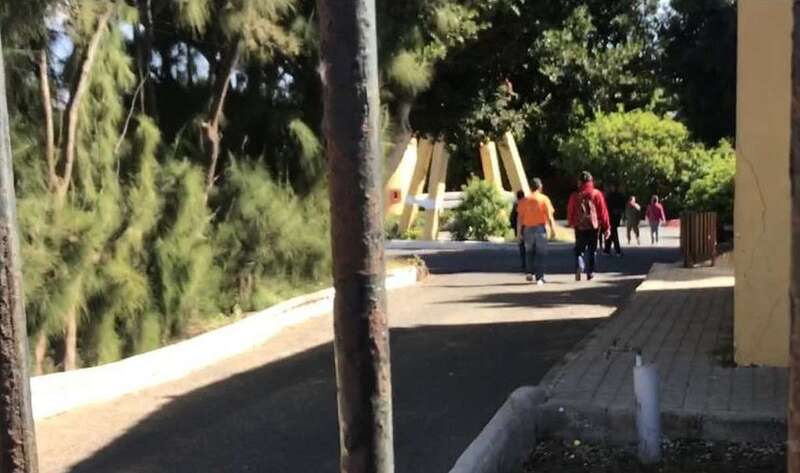 Imagen del Centro Ocupacional de Telde (Foto TA)