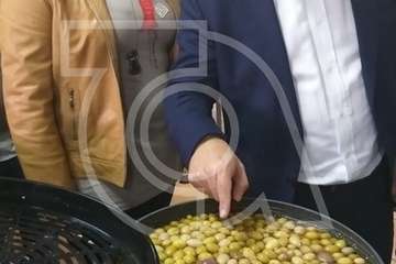 Antona se reúne con empresarios de Telde, visita el Mercado Municipal y la finca Los Olivos (Foto TA)