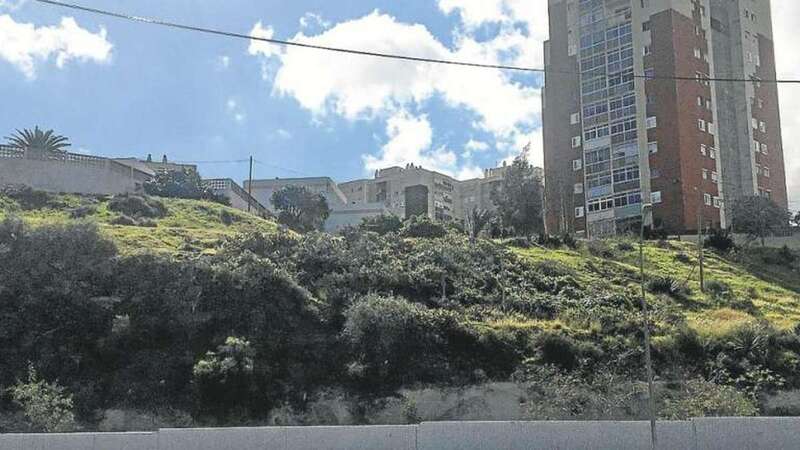 Vista de la ladera en la que se ubica la parcela objeto de la expropiación municipal. Está entre la trasera del colegio Pedro Lezcano y el bloque de la foto, de Eucaliptos I (Foto C7)