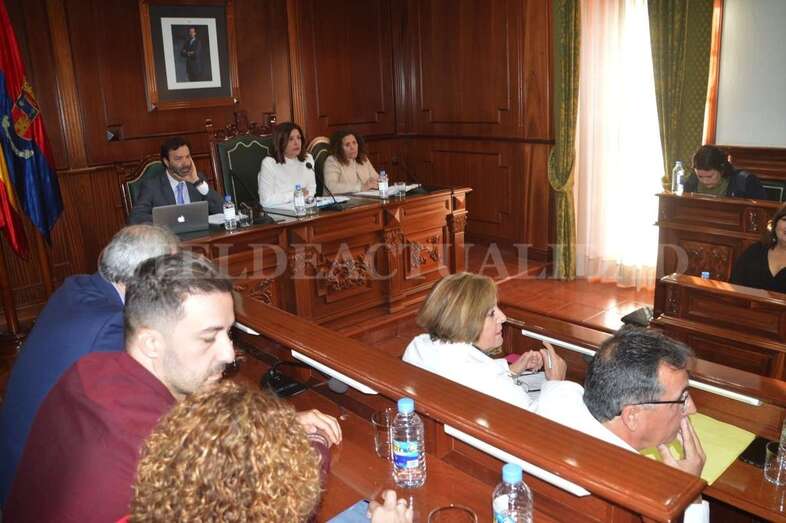 Imagen del Pleno ordinario de febrero que se celebra este viernes (Foto TA)