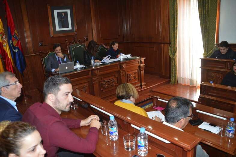 Imagen del Pleno ordinario de marzo de este viernes (Foto TA)