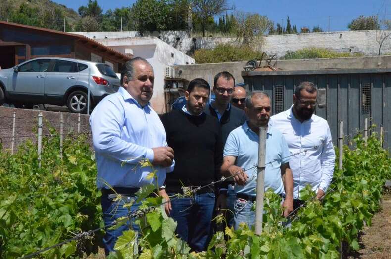 â€¨La comitiva de Juntos por Telde, junto a Isaac Florido recorriendo la Finca Hinojo (Foto TA)