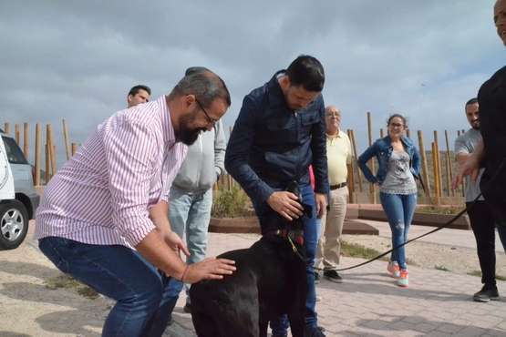 Encuentro de Juntos por Telde con la asociación Les Chiens Dâ€™acier (Foto TA)