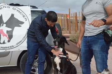 Encuentro de Juntos por Telde con la asociación Les Chiens Dâ€™acier (Foto TA)